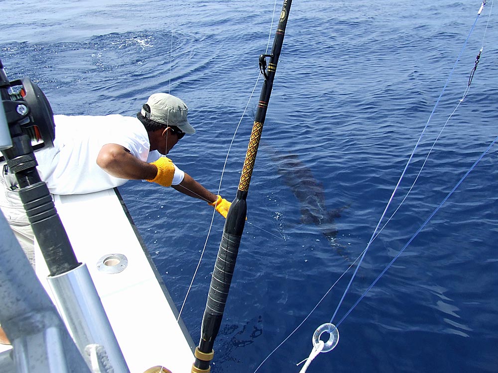 Sportsman Sportfishing Charters Playa Garza, Costa Rica